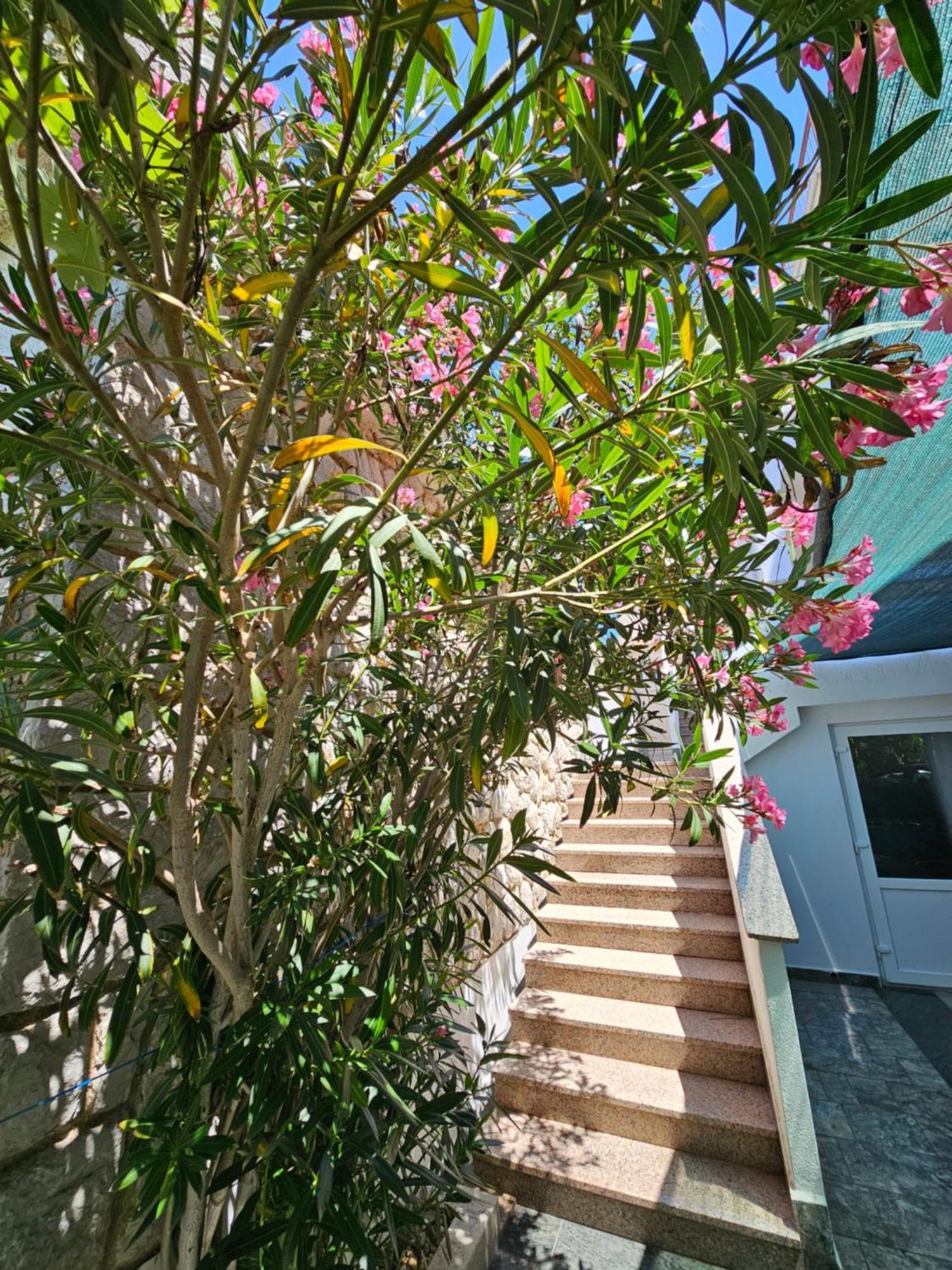 Apartments Bahar Krk Krk Town Exterior foto